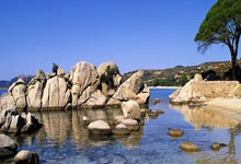 包含Rookie在切尔西比赛中锐不可当，重返赛场引发热议！全场沸腾不已的词条